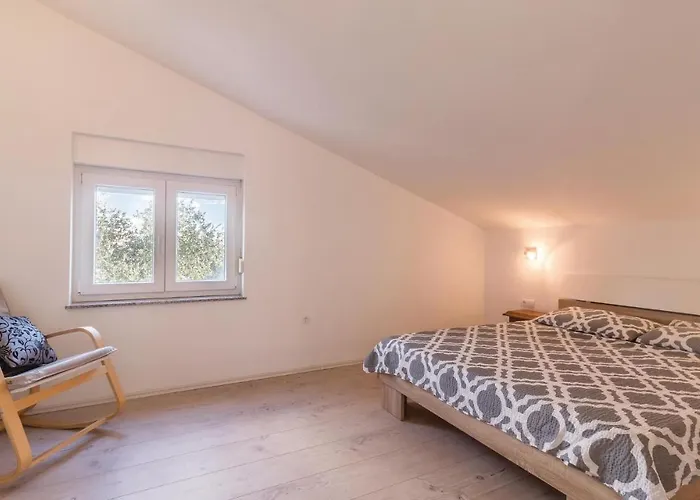 1 Bedroom Awesome In 普拉